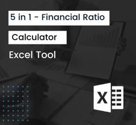 5 in 1 Financial Ratio Calculator 2